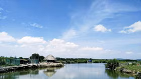 Điều chỉnh quy hoạch đảo Gò Găng có công viên sinh thái, sây bay tỷ đô