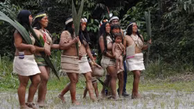 Toà án Brazil yêu cầu chính phủ bảo vệ các bộ lạc thổ dân khỏi nguy cơ lây nhiễm Covid-19