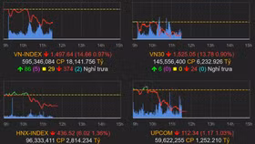 Chứng khoán Việt Nam giảm sâu trong phiên sáng ngày 24/2
