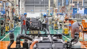 Hơn 55,2 nghìn doanh nghiệp tạm ngừng kinh doanh có thời hạn trong 5 tháng