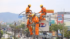 Đảm bảo cấp đủ điện cho dịp Lễ Giỗ Tổ Hùng Vương 30/4 -1/5