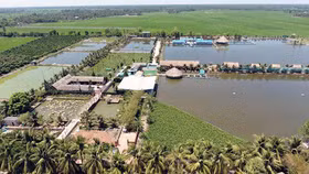 Thủ tướng đồng ý chuyển mục đích sử dụng đất lúa tại Vĩnh Long và Kiên Giang