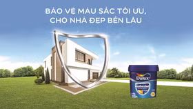 Những nguyên nhân khiến tường nhà bị phai màu và xuống cấp nhanh chóng