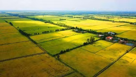 Thủ tướng đồng ý chuyển mục sử dụng 81,6ha đất nông nghiệp tại Long An