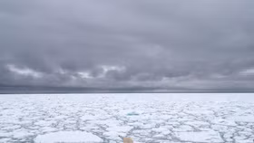 Biến đổi khí hậu: Sóng nhiệt Siberia gây cháy rừng, tan băng ở Bắc Cực