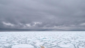 Biến đổi khí hậu: Sóng nhiệt Siberia gây cháy rừng, tan băng ở Bắc Cực