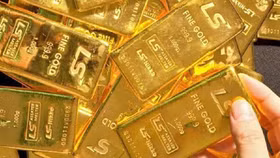 Hôm nay 13/8: Giá vàng trong nước tăng mạnh