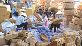 Thành lập Ban chỉ đạo tổng kết 20 năm đổi mới, phát triển kinh tế tập thể