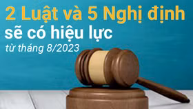 2 Luật và 5 Nghị định sẽ có hiệu lực từ tháng 8/2023