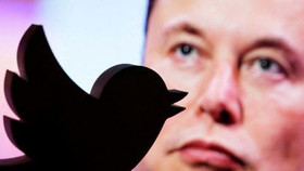 Elon Musk thăm dò dư luận về việc "giã từ" vị trí CEO Twitter