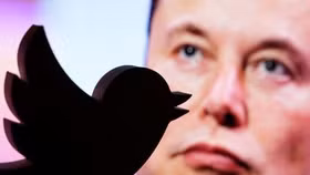 Elon Musk thăm dò dư luận về việc "giã từ" vị trí CEO Twitter