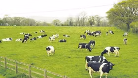 GTN gia tăng sở hữu tại VLC lên trên 70%, hiện thực hoá ước mơ "từ nông trại đến bàn ăn gia đình"