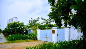 Đà Nẵng thu hồi đất các dự án ven biển để làm công viên công cộng