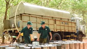 Lãi vỏn vẹn 30 tỷ đồng, Cao su Bà Rịa mới chỉ hoàn thành được 2% kế hoạch lợi nhuận trước thuế