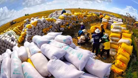 Năm 2022, Việt Nam xuất khẩu gạo vượt chỉ tiêu đề ra