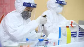 Hà Nội thông qua mức giá dịch vụ xét nghiệm SARS-CoV-2