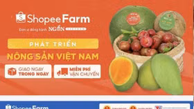 Sản phẩm miền núi Việt “lên mạng” vươn ra thế giới