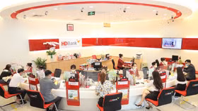 Định chế tài chính DEG và HDBank mở Dịch vụ German Desk tại Việt Nam