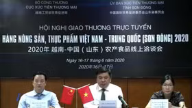 Đưa nông sản, thực phẩm Việt tiến sâu vào thị trường Sơn Đông, Trung Quốc