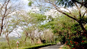 Ta mắc nợ người rồi Phú Yên ơi!