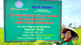 CEO Bảo Minh – Bùi Thị Hạnh Hiếu: Người ấp ủ giấc mơ mang “hạt ngọc” Việt toả sáng trời Tây