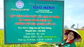 CEO Bảo Minh – Bùi Thị Hạnh Hiếu: Người ấp ủ giấc mơ mang “hạt ngọc” Việt toả sáng trời Tây