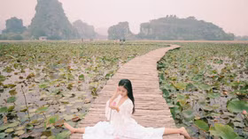 Kỳ lạ mùa sen giữa trời đông, lau đẹp như tranh ở Ninh Bình