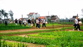 Hội An khai trương điểm tham quan làng rau hơn 400 tuổi