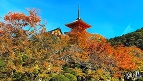 Khám phá những điểm đến mới của tour mùa thu