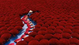 4 bức ảnh của Việt Nam lọt vào những khoảnh khắc đẹp nhất thế giới