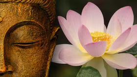 Hãy là một “lãnh đạo tỉnh thức” để vững vàng trong một thế giới nhiều biến động