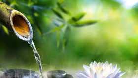 Thấu hiểu cảm xúc – Bước đi đầu tiên để trở thành một lãnh đạo tỉnh thức