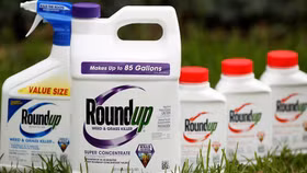 Toà án Mỹ kết luận thuốc diệt cỏ Monsanto gây ung thư