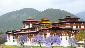 Lãng đãng ngày hè Bhutan để thưởng lãm những thảm hoa hồng rực rỡ