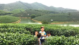 Nghệ An công bố tour “Hành trình về nguồn và khám phá vẻ đẹp xứ Nghệ”