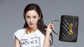 Dương Mịch trở thành đại diện đầu tiên của Versace tại Trung Quốc