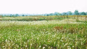 Phú Thọ: Có hay không việc “bảo kê” bản án dân sự số 14? (kỳ 2)