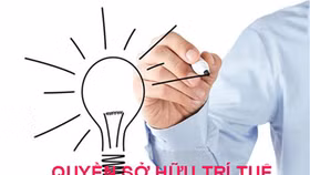 Startup Việt Nam còn thiếu điều gì?