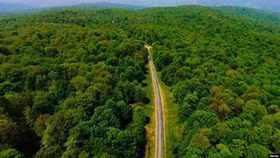 Rừng cổ Hyrcanian của Iran trở thành Di sản thế giới