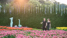 Du xuân chơi Tết, nhất định phải ghé Bà Nà ngắm thiên đường hoa tulip lớn nhất Việt Nam
