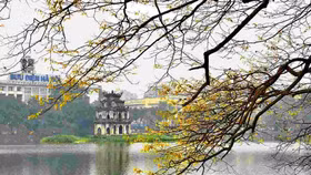 Việt Nam được đề cử ở 6 hạng mục tại Lễ trao giải thưởng Du lịch Thế giới