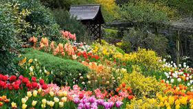 Cuối tháng 12 sẽ diễn ra Festival tại thành phố ngàn hoa