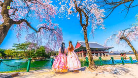 Được miễn lệ phí xét duyệt thị thực Hàn Quốc, nhưng công dân Việt Nam cần đọc kỹ điều này trước khi đi