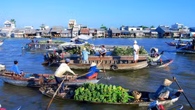 Lượng khách du lịch đến Cần Thơ tăng cao dịp Tết Nguyên Đán 2019