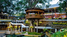 Kiểm soát định mức chi tiêu trong ngành F&B: Yếu tố quyết định sống còn!