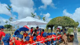 Còn nhiều "con dốc" cản trở du lịch trang trại hút khách tham quan