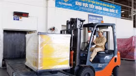 Dịch vụ Hàng hoá Nội Bài chốt trả cổ tức còn lại năm 2022 bằng tiền, tỷ lệ 50%