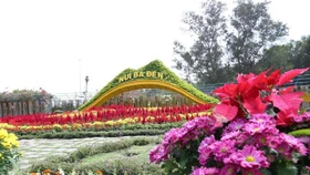 Ngắm nhìn Núi Bà Tây Ninh đẹp vi diệu những ngày đầu xuân