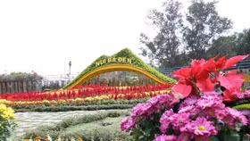 Ngắm nhìn Núi Bà Tây Ninh đẹp vi diệu những ngày đầu xuân