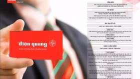 Vì đâu lợi nhuận của Bóng đèn Điện Quang lao dốc?